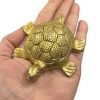 Brass Tortoise