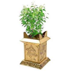 Brass Tulasi