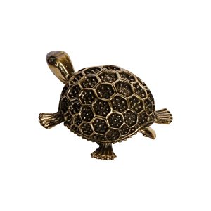 Tortoise