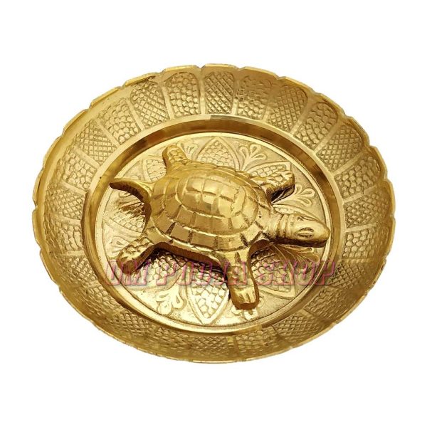 Tortoise