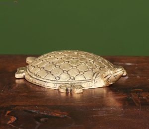 Tortoise