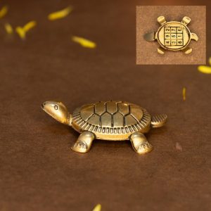 Tortoise