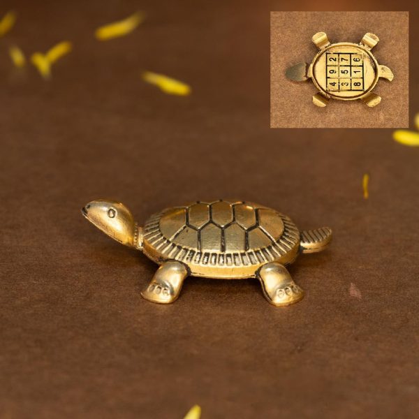Tortoise