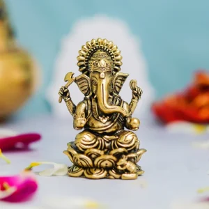 cpp08136-500x500 Lotus Ganesh 2