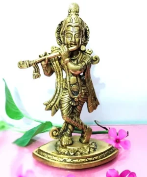 krishna Krishna Idol