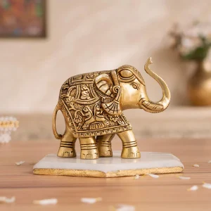 Elephant Set