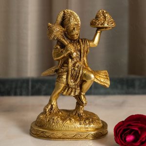 Small_ee7f2001-21d8-4aa9-9345-89dcce32db0c Hanuma Holding Sanjeevini