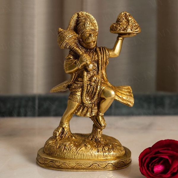 Hanuma Holding Sanjeevini