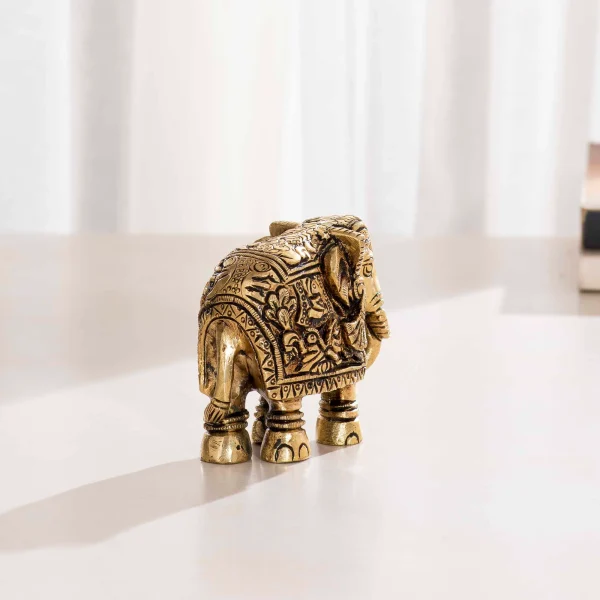 Elephant Set 6