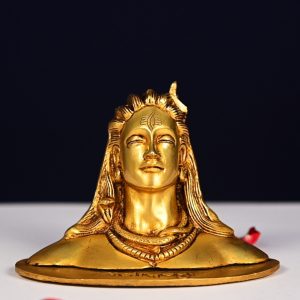 Adiyogi 0